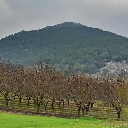 Pearl Of The Valley Hotel Kfar Tavor エクステリア 写真