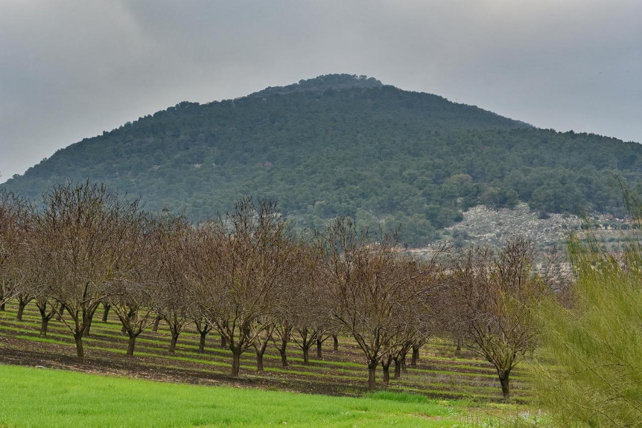 Pearl Of The Valley Hotel Kfar Tavor エクステリア 写真