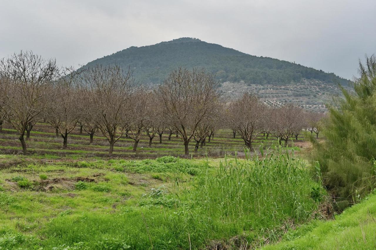 Pearl Of The Valley Hotel Kfar Tavor エクステリア 写真